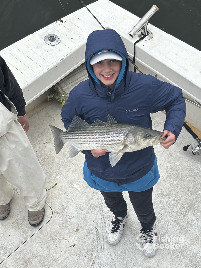 Stamford Report Photo 0