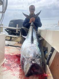 crazy inshore bluefin tuna bite still go