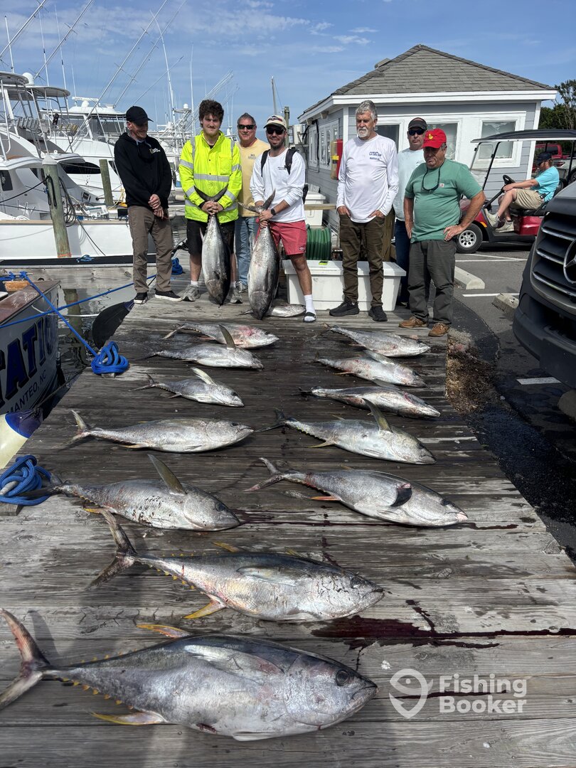 Manteo Report Photo 0