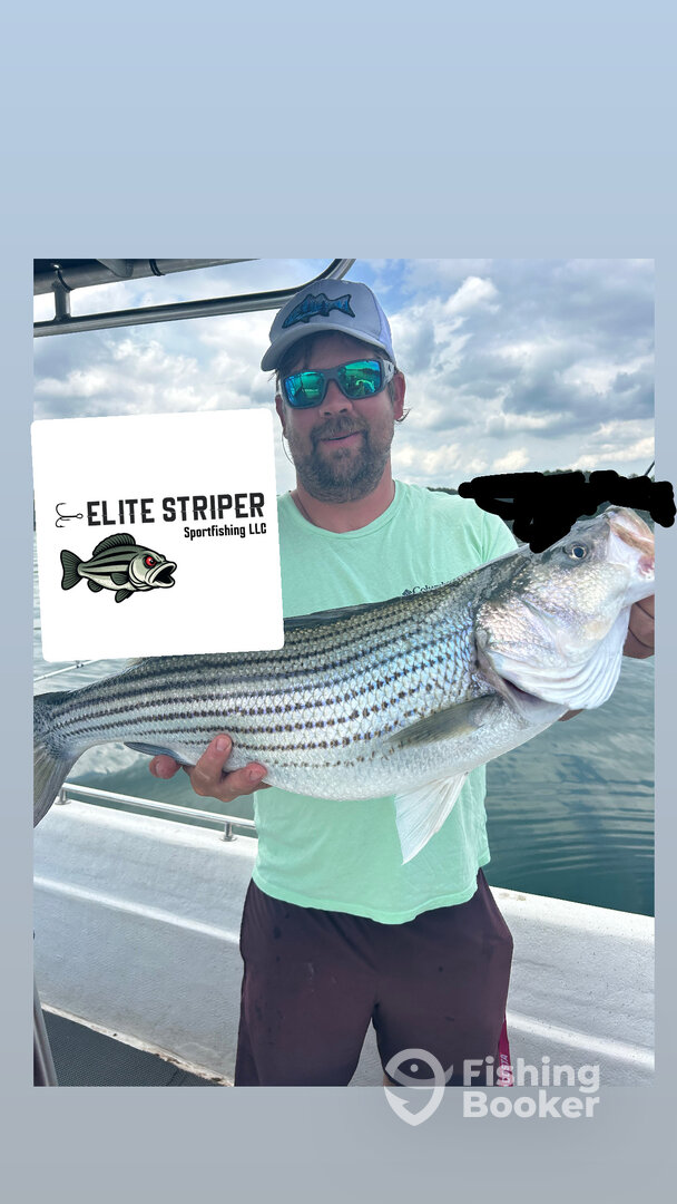 Cumming Report Photo 0