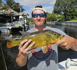 Delray Beach Report Photo 2