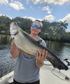 Delray Beach Report Photo 1