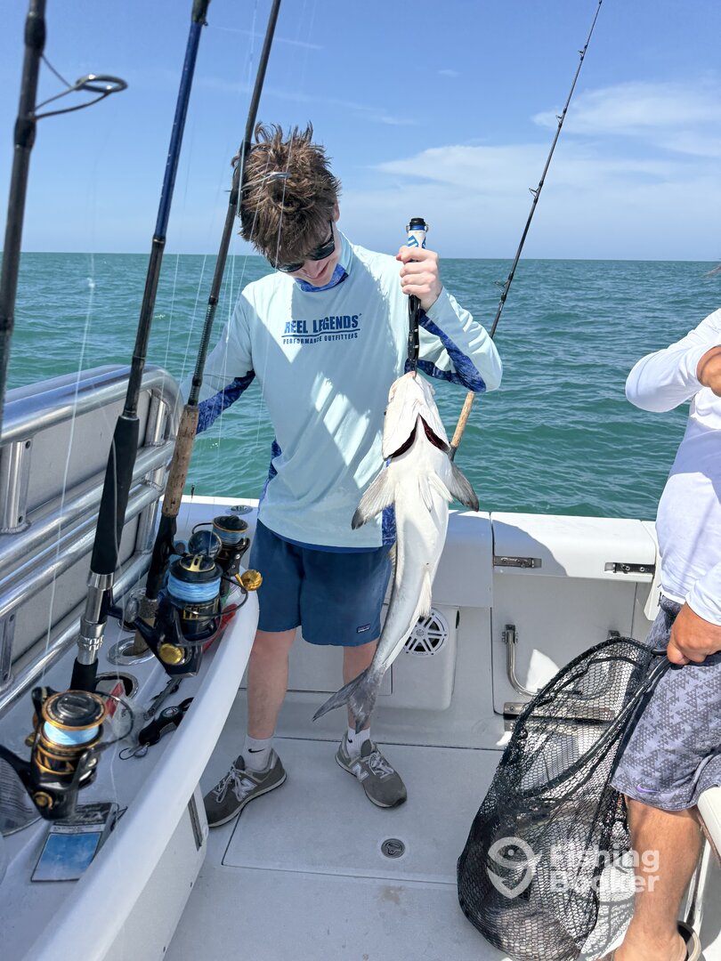 Englewood Report Photo 0