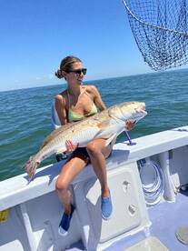 Red Drum fishing is heating up!
