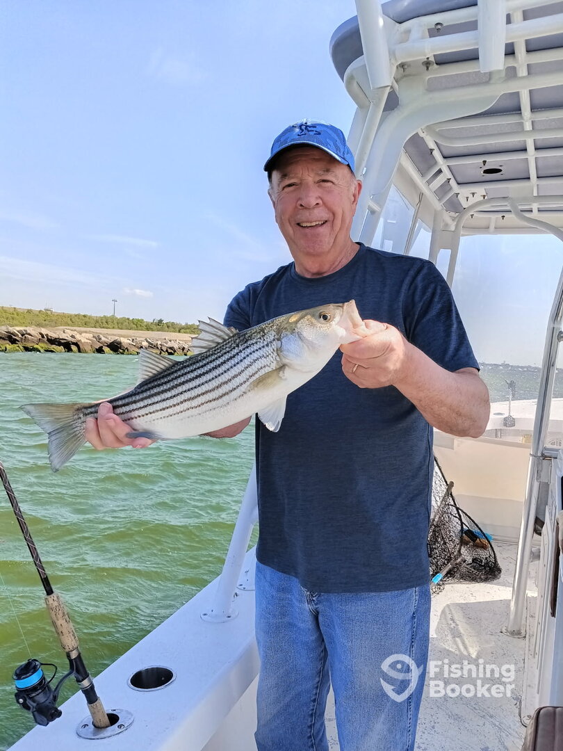 Norfolk Report Photo 0