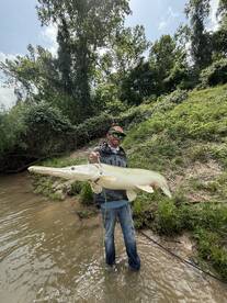 Alligator gar with Austin Anderson 