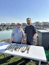 Detroit Report Photo 2