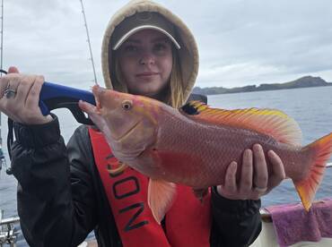 Machico Report Photo 1