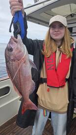 Machico Report Photo 2