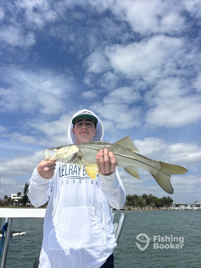 Jupiter Report Photo 0