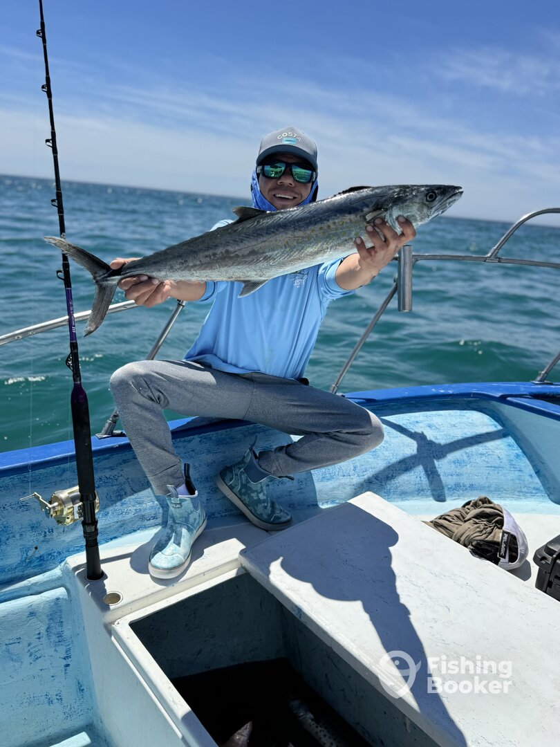 San Jose del Cabo Report Photo 0