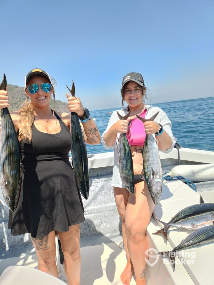 Puerto Vallarta Report Photo 0