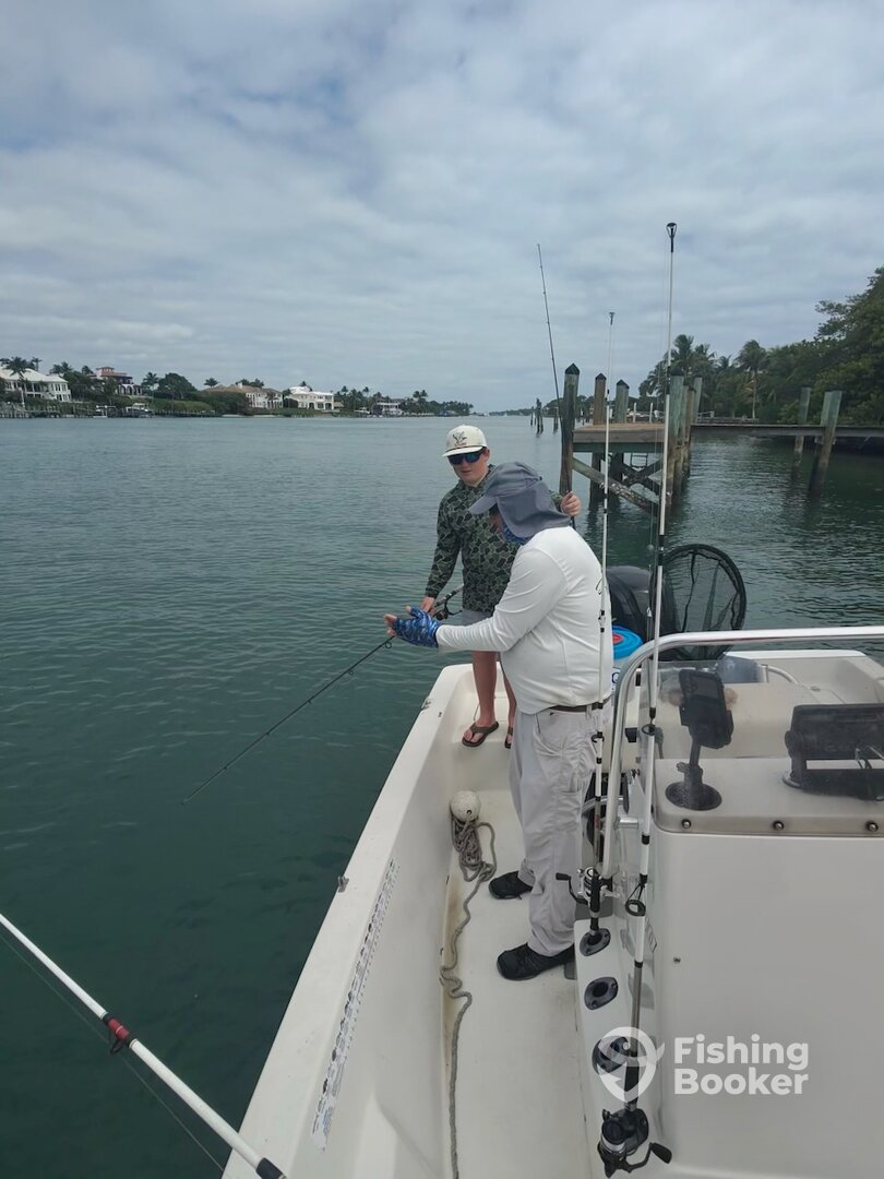 Jupiter Report Photo 0