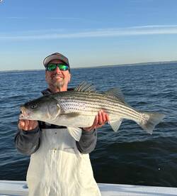 Highlands Report Photo 2