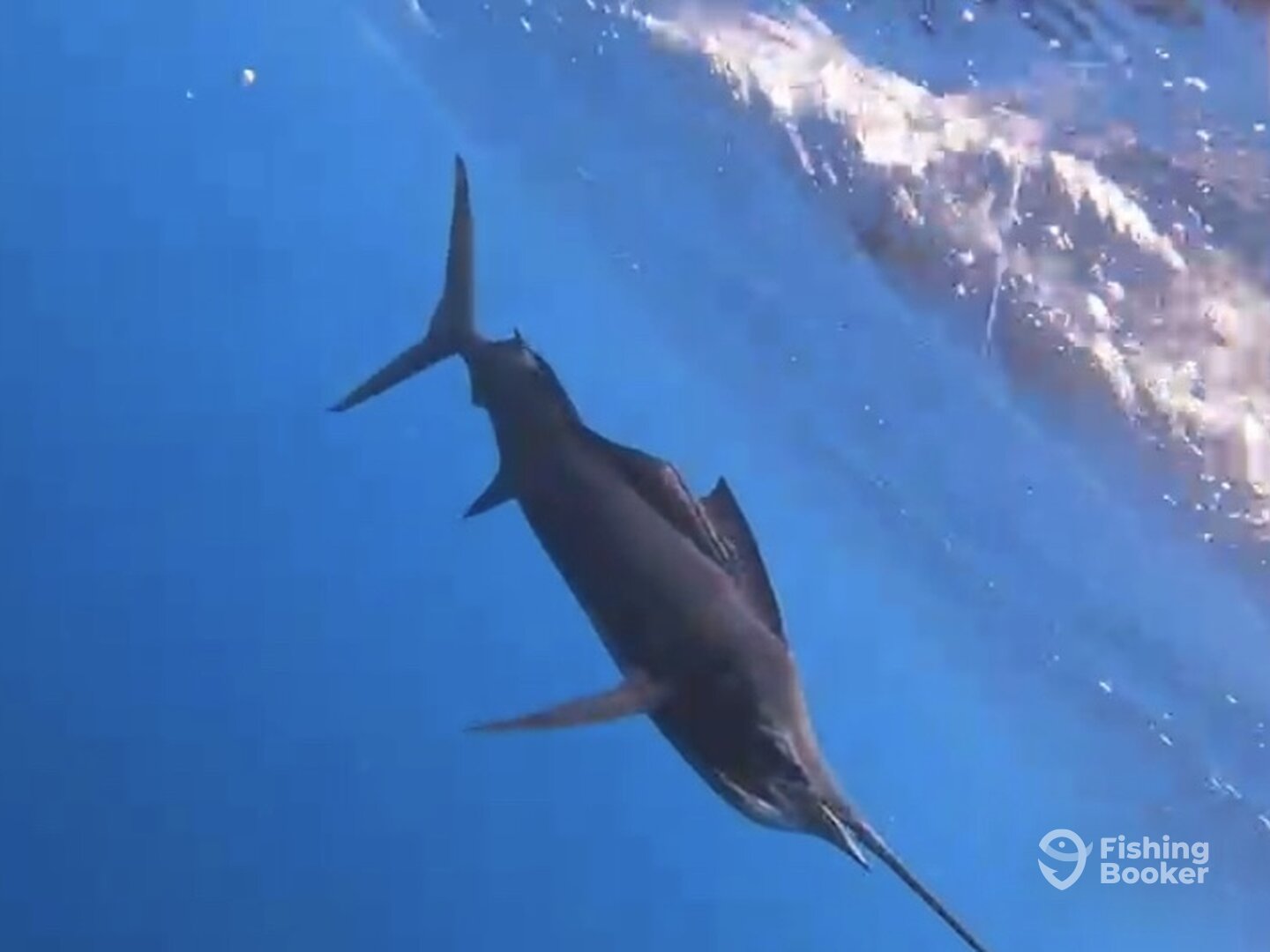 Quepos Report Photo 0