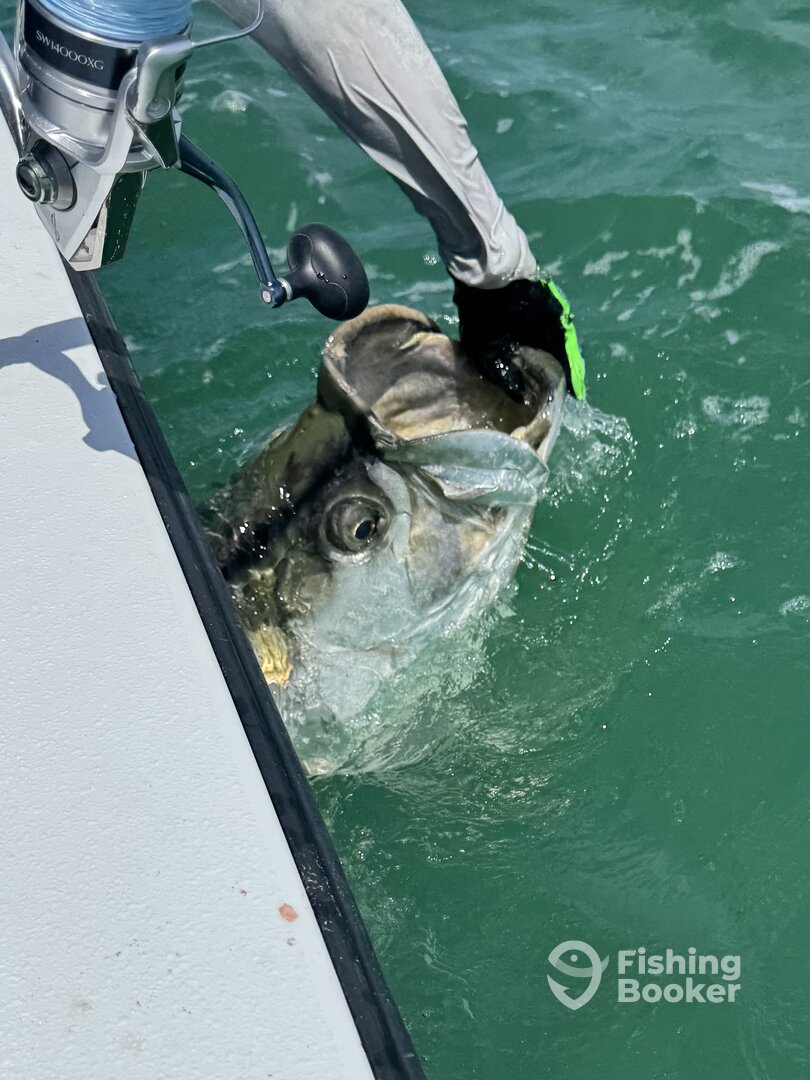 Boca Grande Report Photo 0