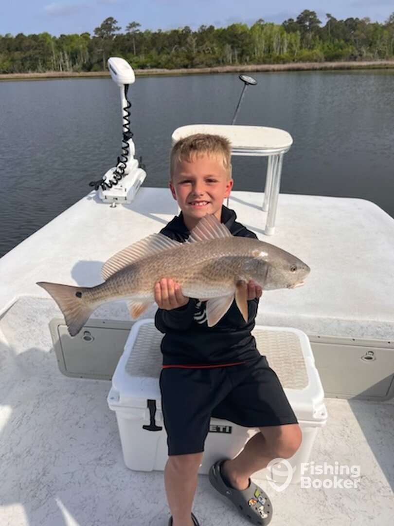 North Topsail Beach Report Photo 0