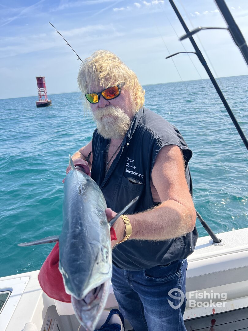 Palmetto Report Photo 0