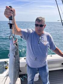 Palmetto Report Photo 1