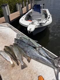 Palmetto Report Photo 2