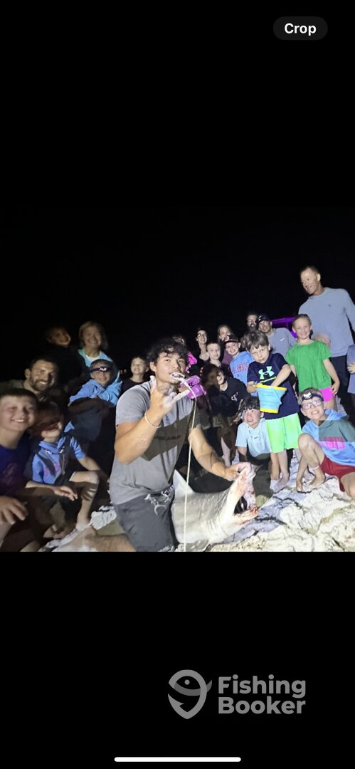 Destin Report Photo 0