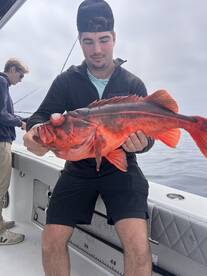 Los Angeles Report Photo 2