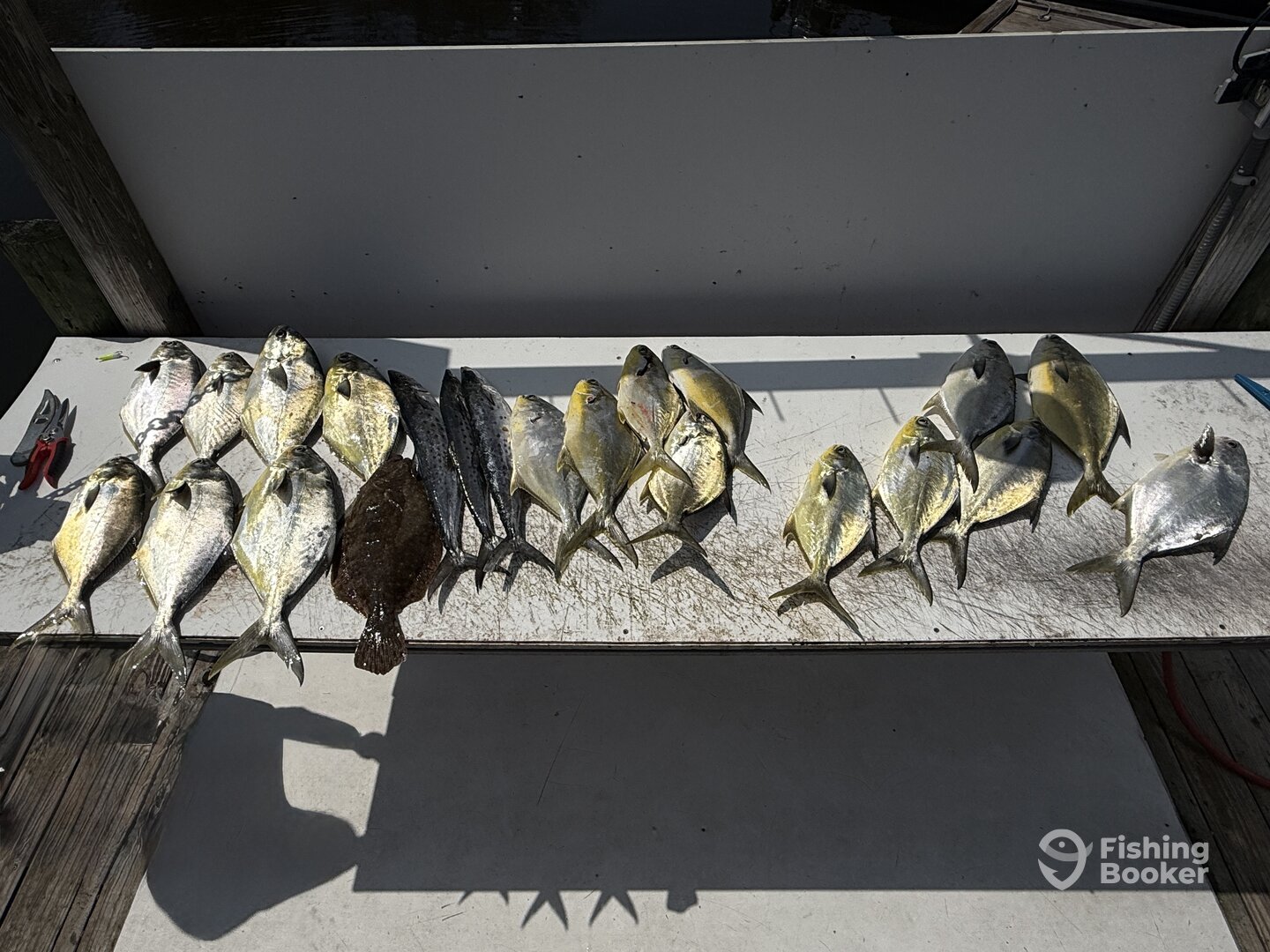 Niceville Report Photo 0