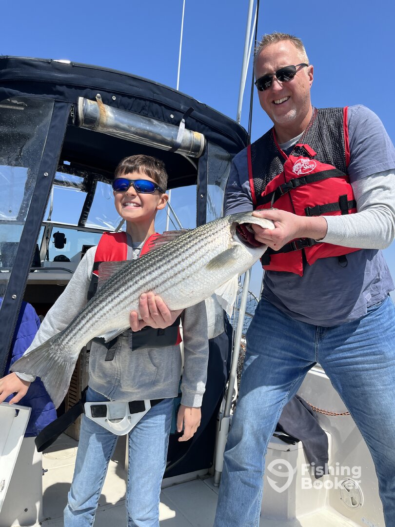 Highlands Report Photo 0