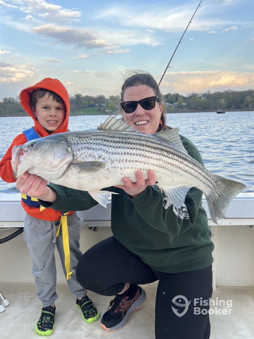 Saugerties Report Photo 0