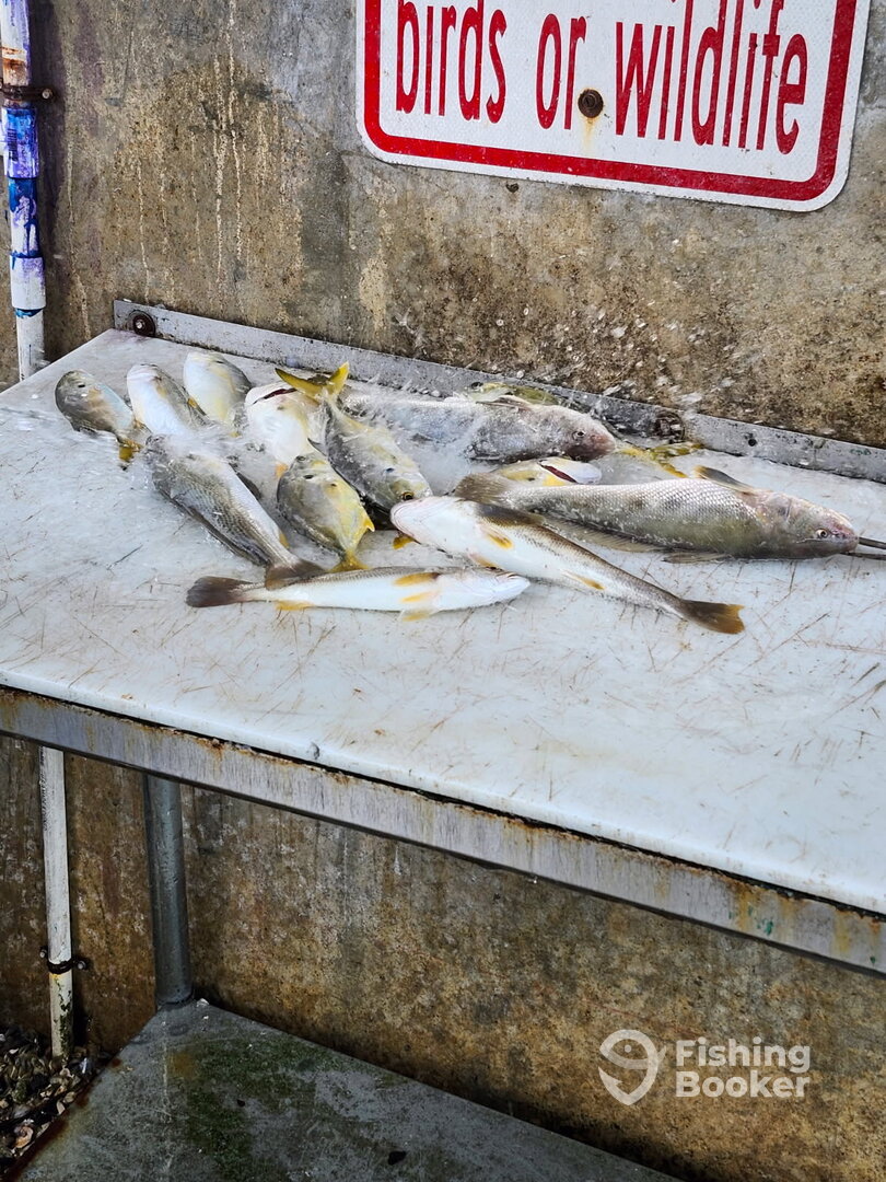 Port Orange Report Photo 0