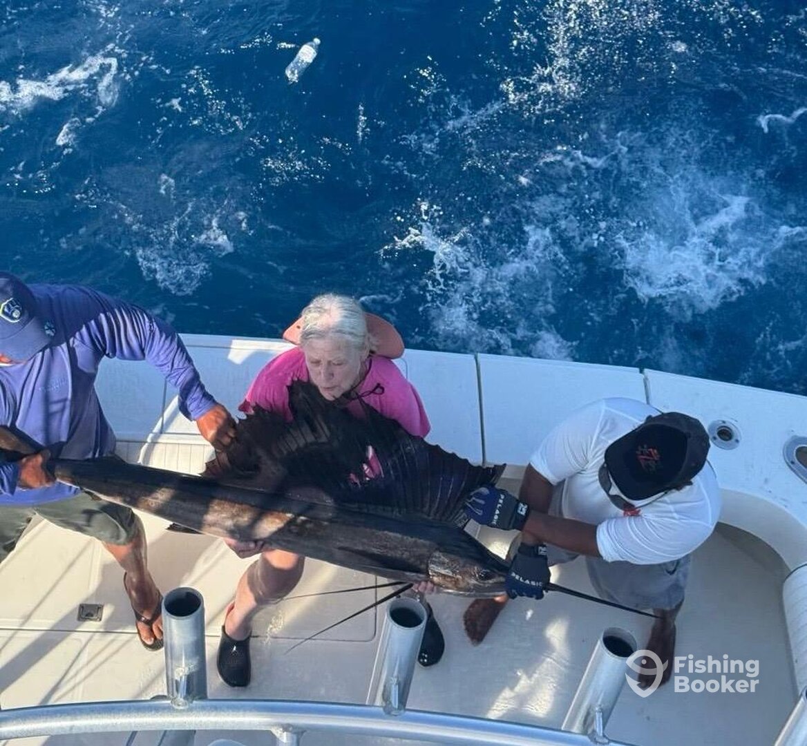 Puerto Aventuras Report Photo 0