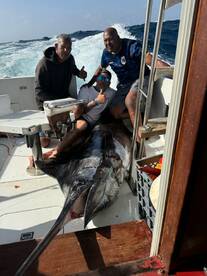 marlins? any available?