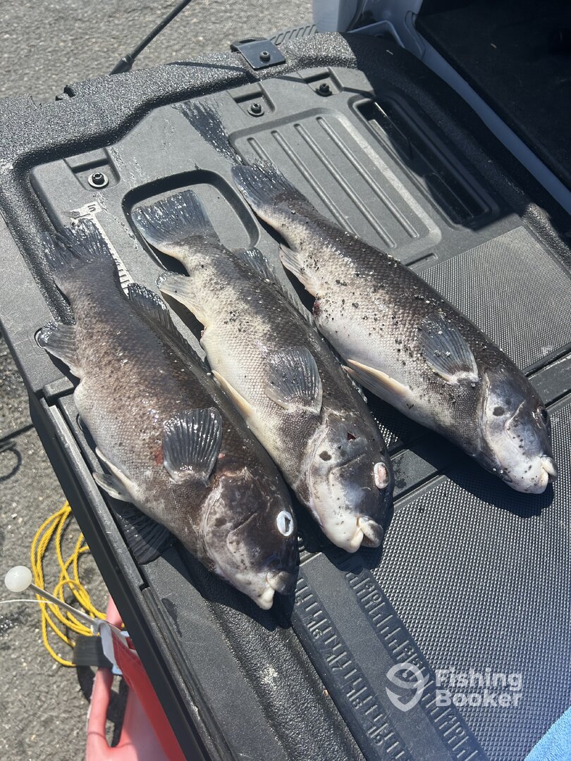 Brick Township Report Photo 0