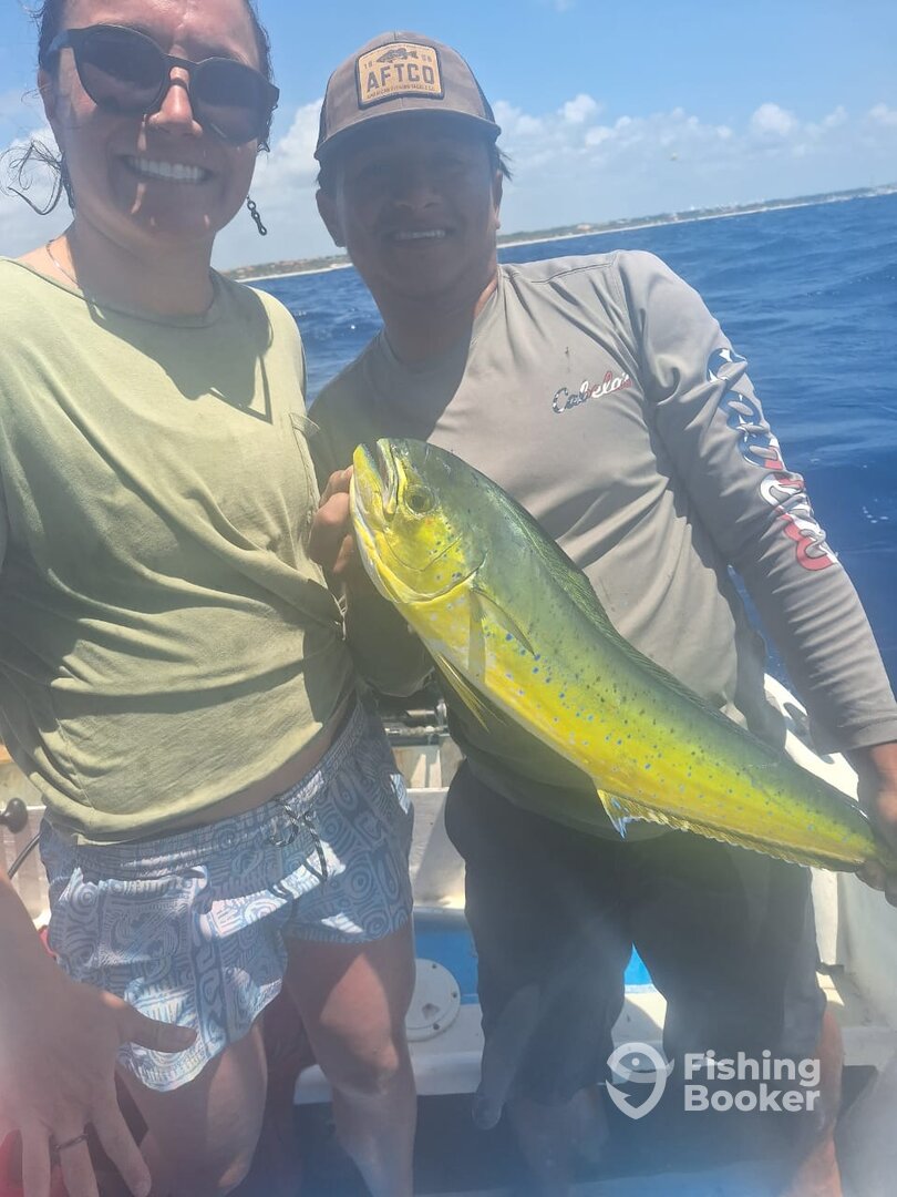 Playa Del Carmen Report Photo 0