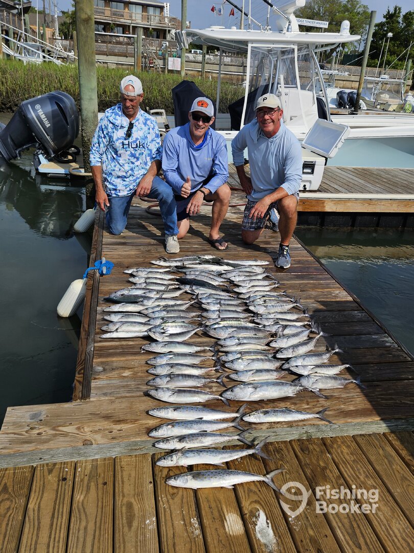 Wilmington Report Photo 0