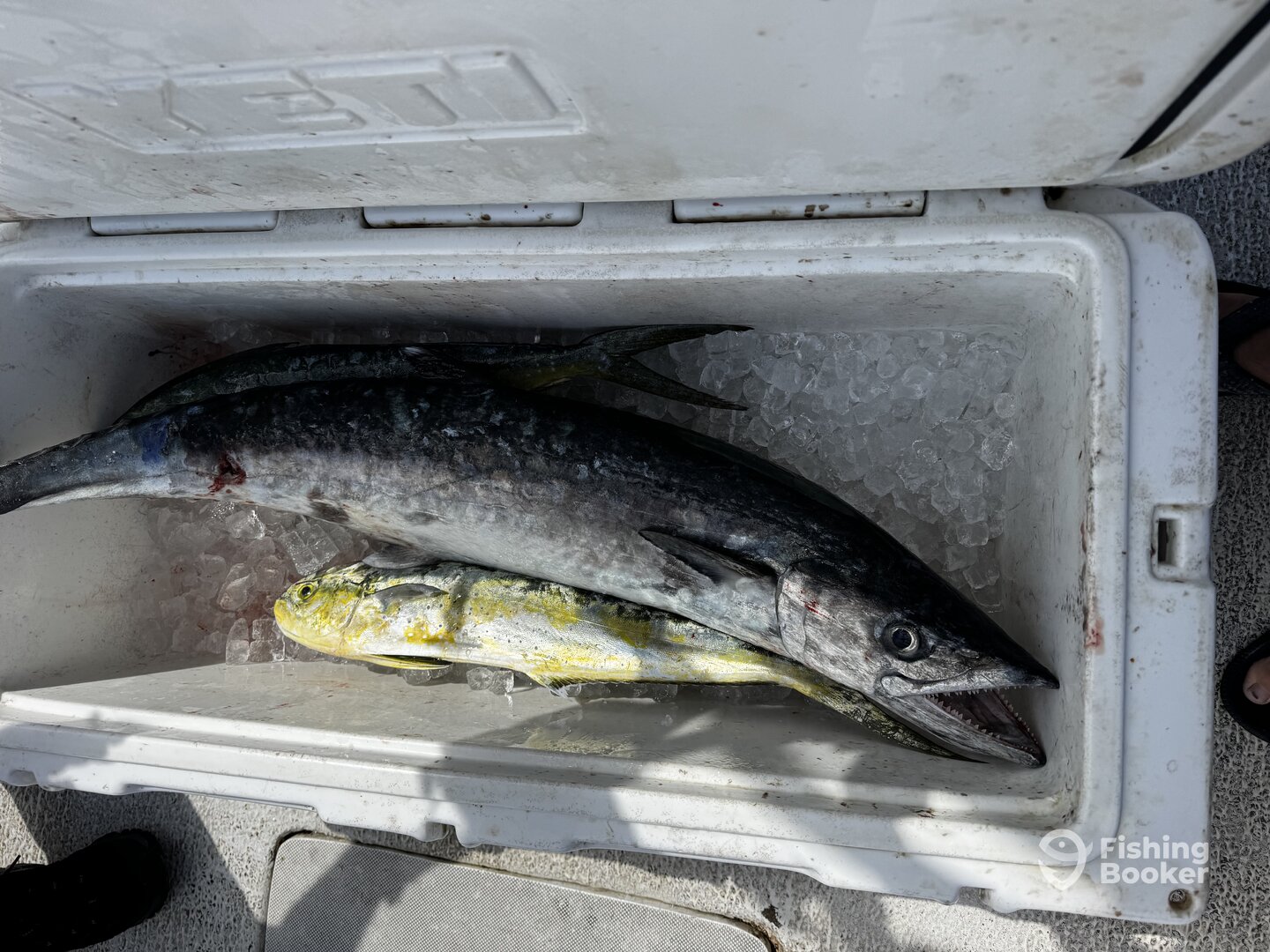 Dania Beach Report Photo 0