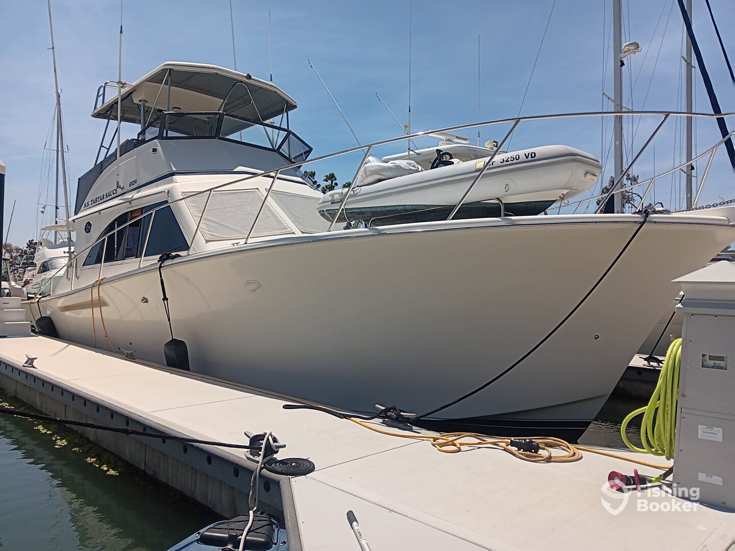 Dana Point Report Photo 0