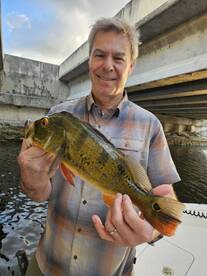 Delray Beach Report Photo 2