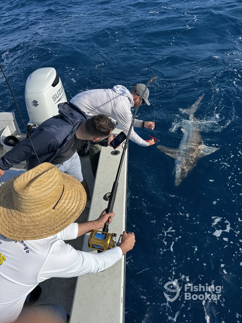 Dania Beach Report Photo 0