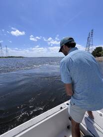 Slamming into Summer