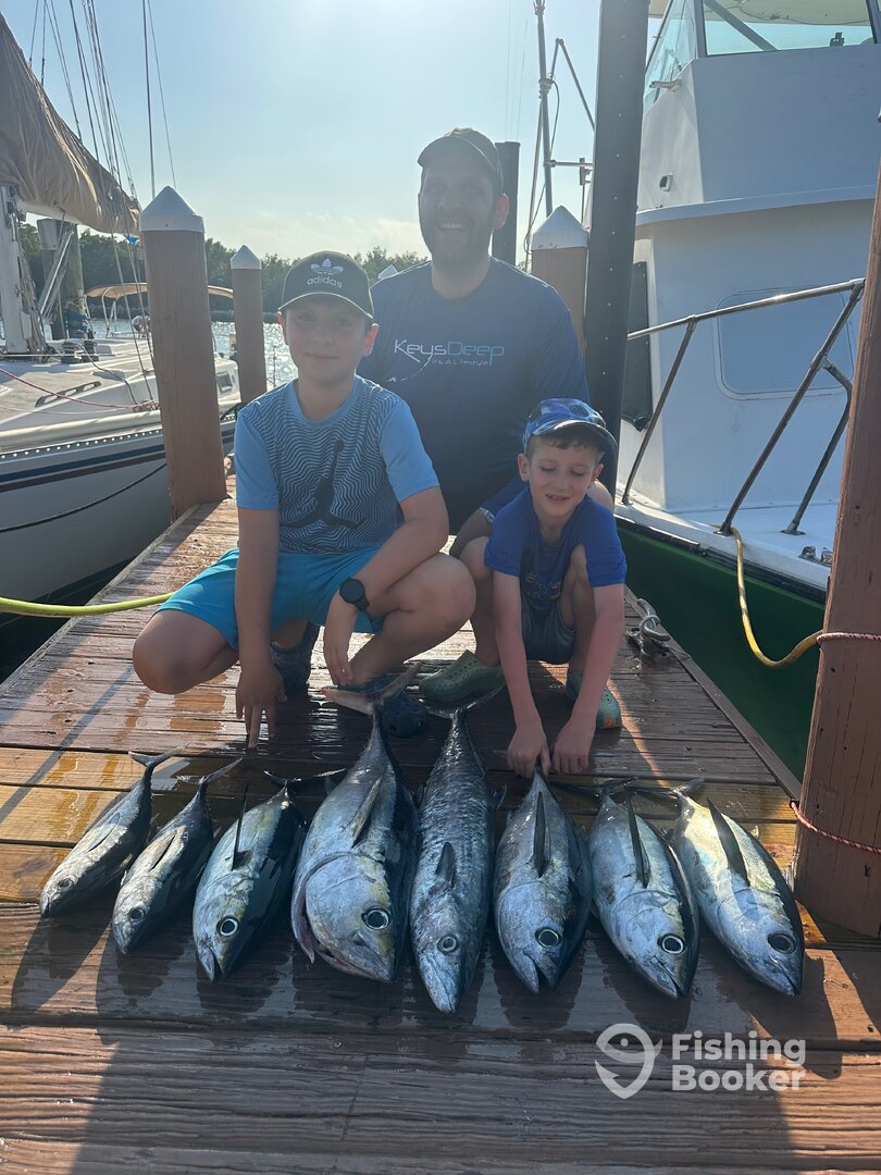 Dania Beach Report Photo 0