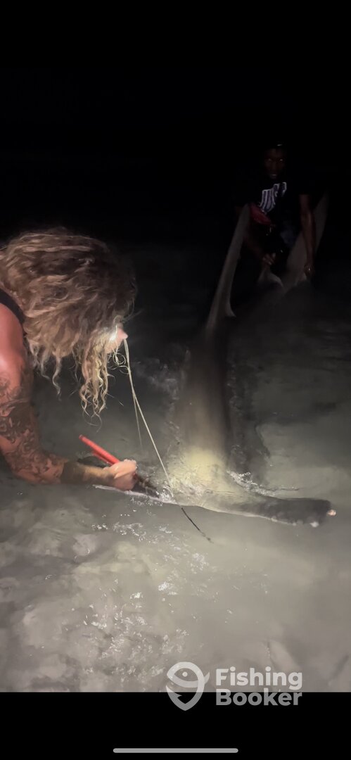 Destin Report Photo 0