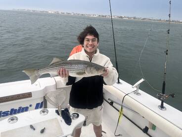 New York City Report Photo 2