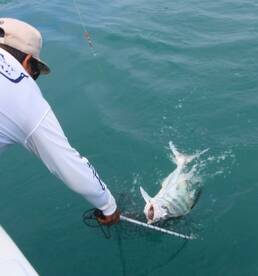 Quepos Report Photo 1