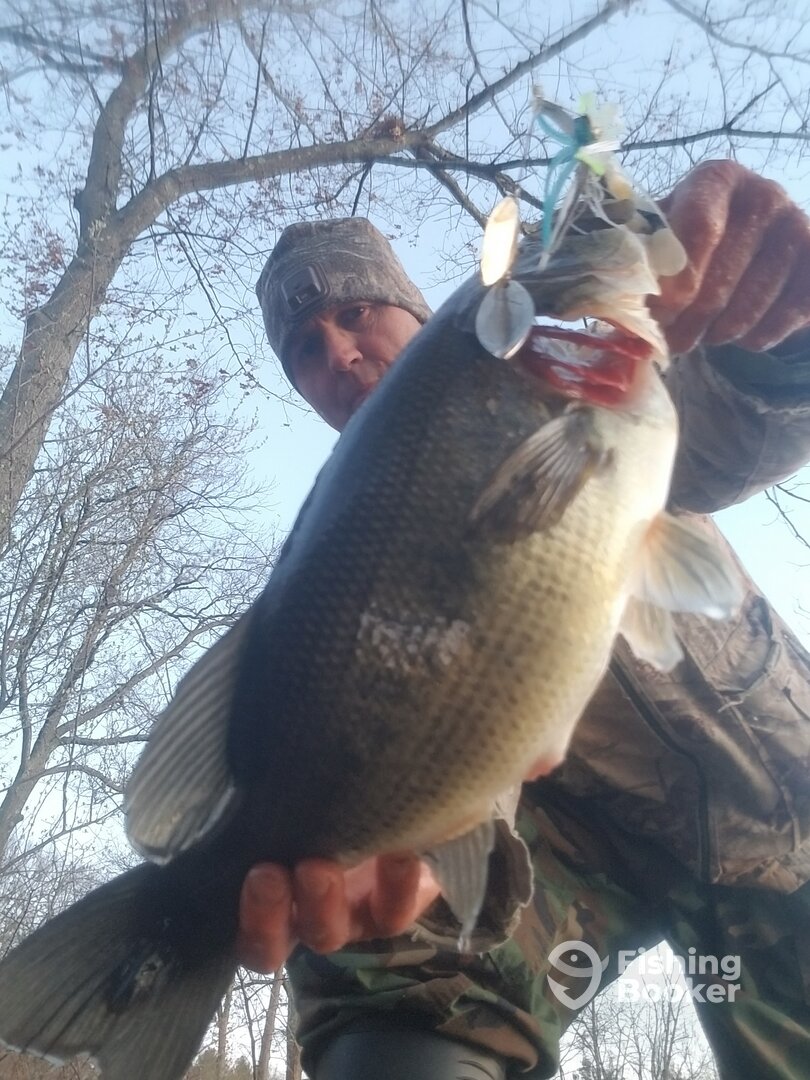 Hardwick Township Report Photo 0