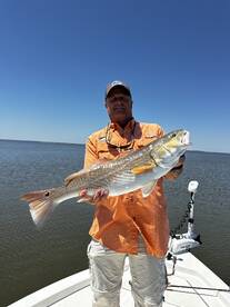 Spring bite has been Great!!!