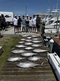 Nice day of yellowfin
