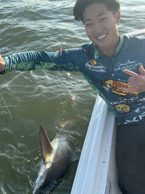 Mount Pleasant Report Photo 1