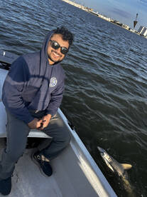 Mount Pleasant Report Photo 2