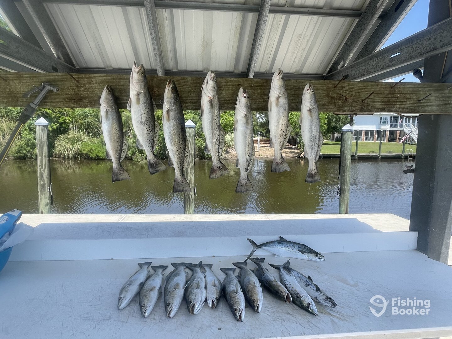 Bay St Louis Report Photo 0